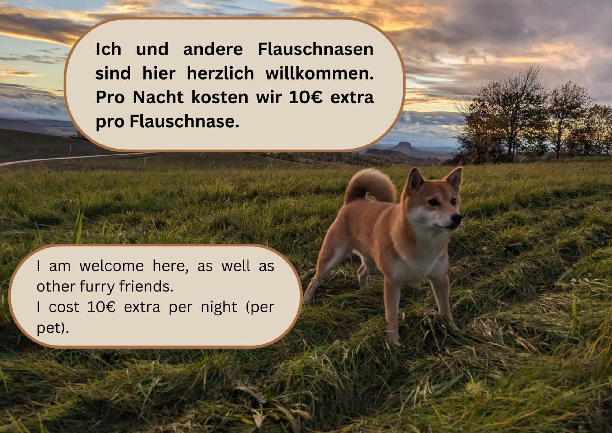 R3 - Urlaubsmagie - Helle Wohnung Mit Garten & Pool Rathmannsdorf Zewnętrze zdjęcie